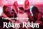 Roam Roam Lyrics
