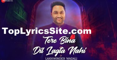 Tere Bina Dil Lagta Nahi Lyrics