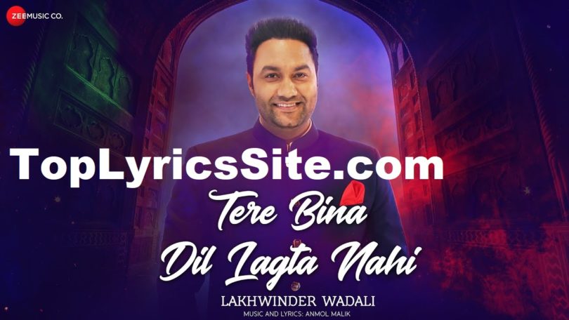 Tere Bina Dil Lagta Nahi Lyrics