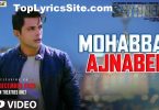 Mohabbat Ajnabee Lyrics
